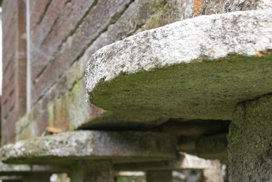 Granito y musgo · Vimianzo · Costa da Morte